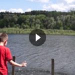 Соціальні ролики