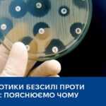 Антибіотики безсилі проти вірусів: пояснюємо чому