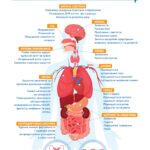 Що відбувається з організмом, коли ви курите?