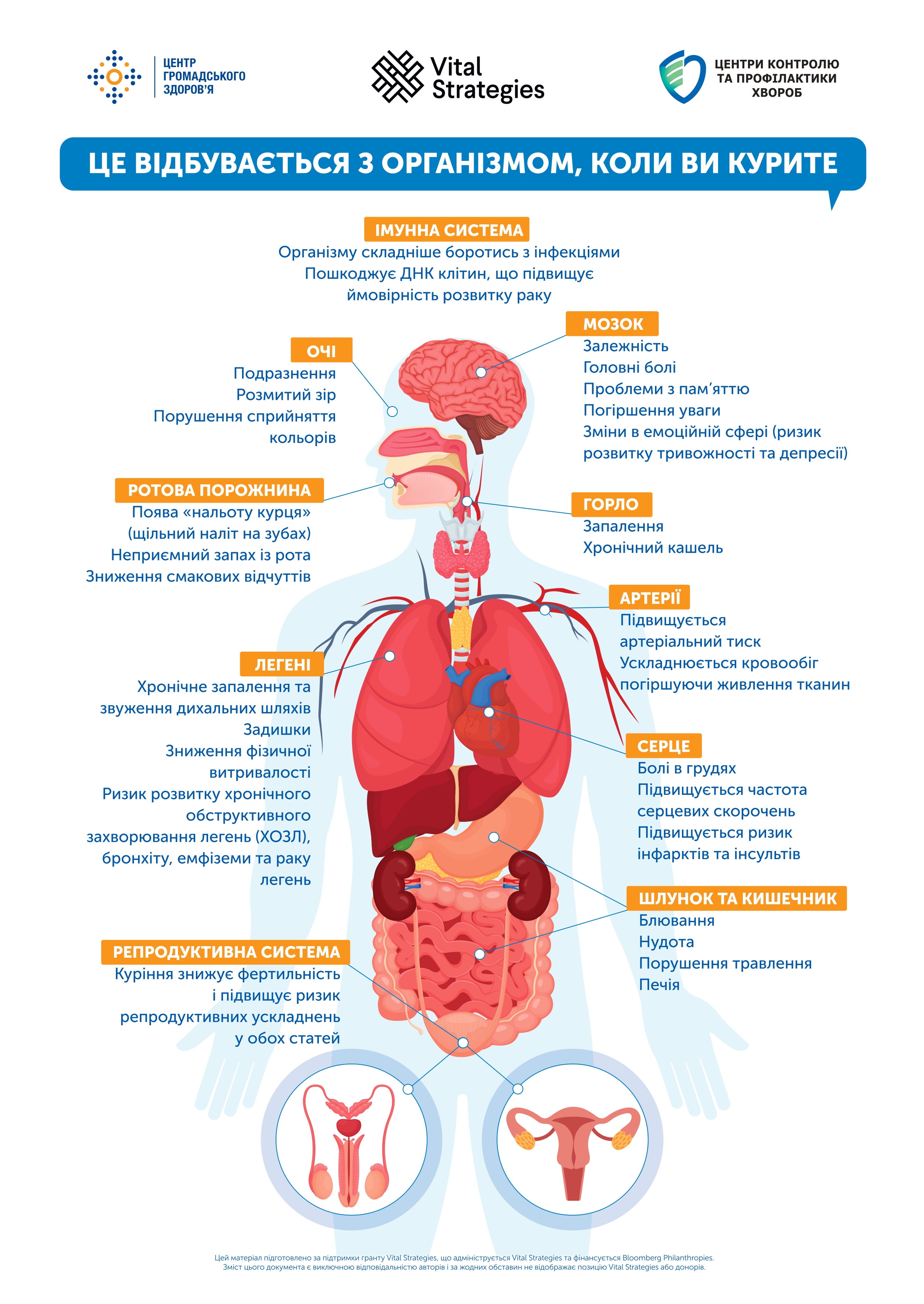 Що відбувається з організмом, коли ви курите?